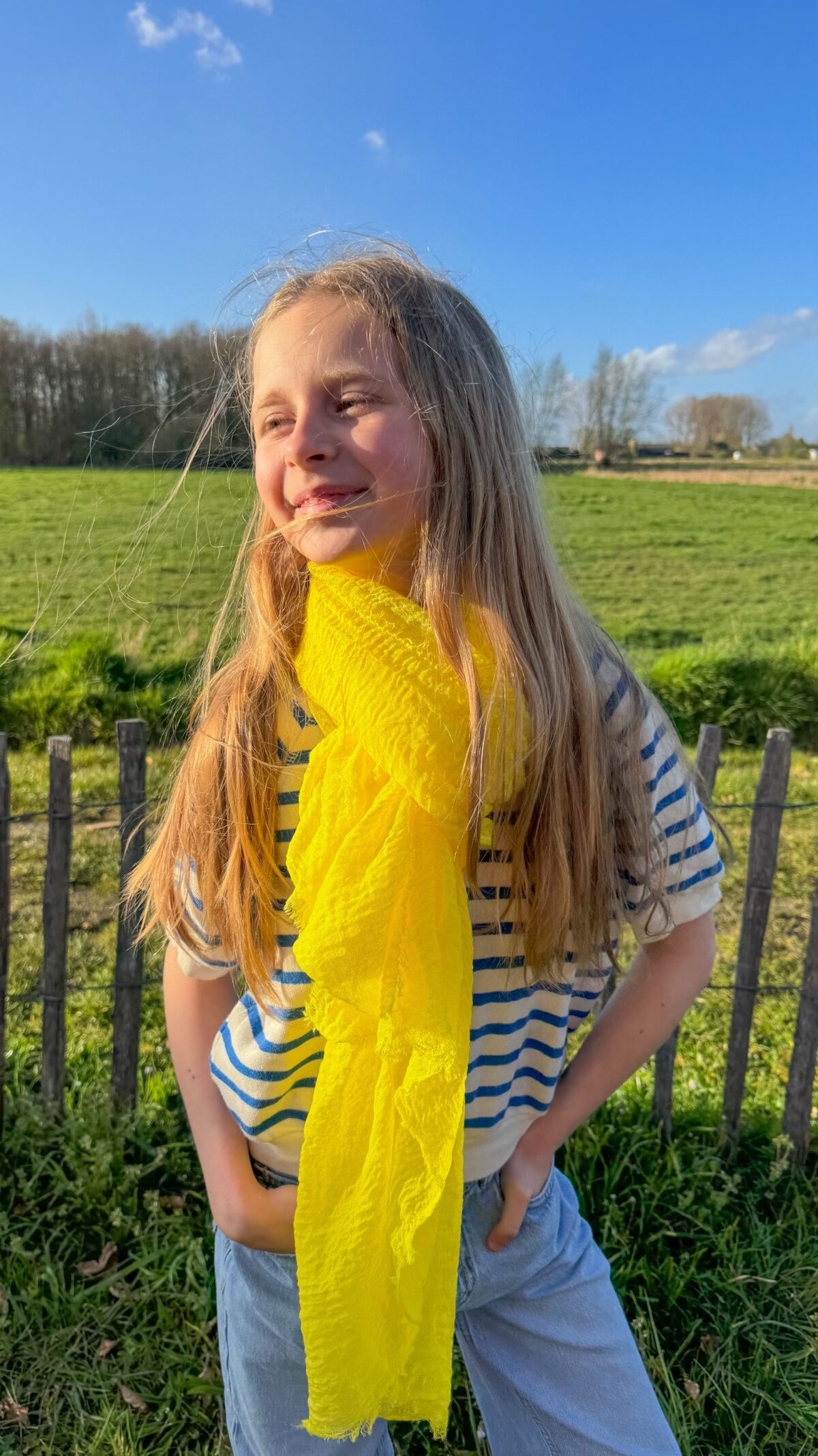 img_6795 Lara Scarf Yellow